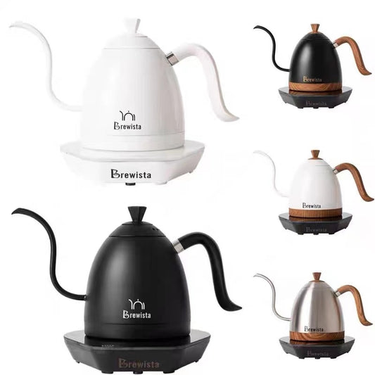 Artisan Gooseneck Coffee Kettle