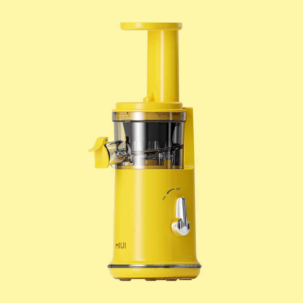 Portable Mini Slow Juicers